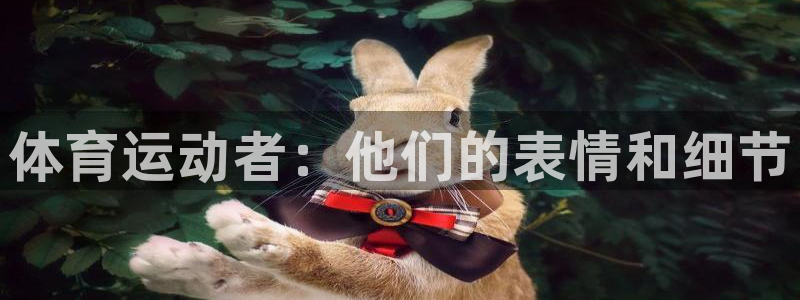 米兰体育官方集团官网