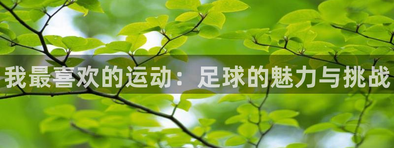 米兰体育官网下载开户：我最喜欢的运动：足球的魅力与挑战