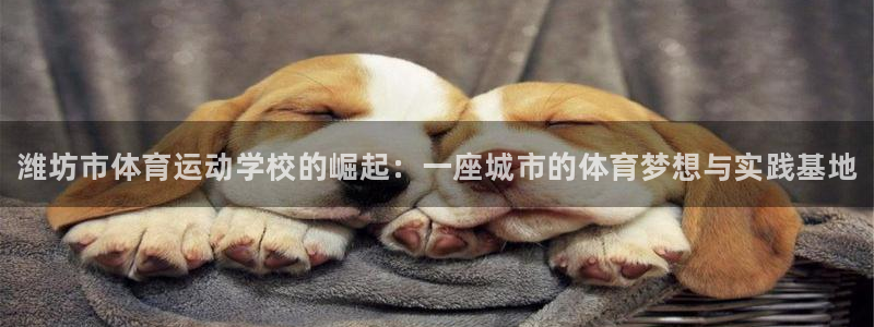 米兰体育官网下载软件：潍坊市体育运动学校的崛起：一座城市的体