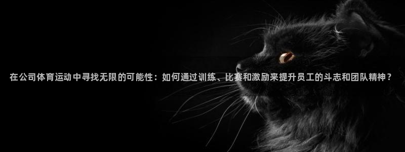 德国米兰体育官方正版app集团：在公司体育运动中寻找无限的可