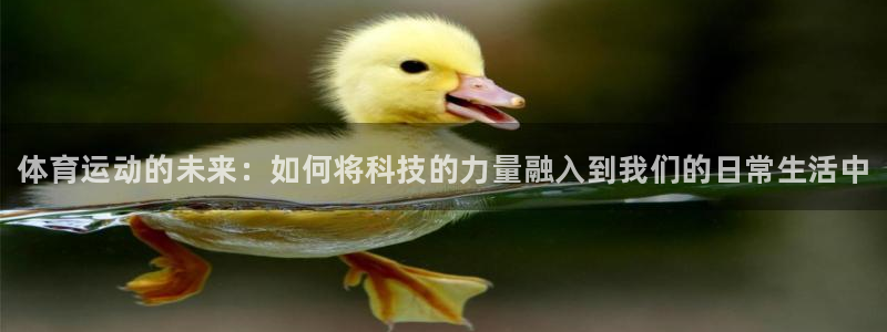 米兰体育官方平台体育：体育运动的未来：如何将科技的力量融入到