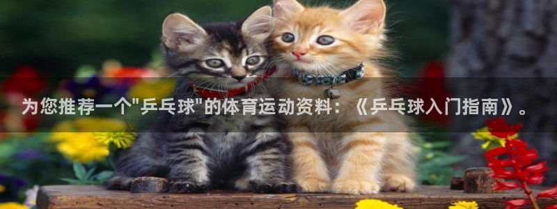 米兰体育官方正版app集团简介