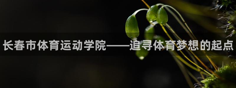 米兰体育官网下载招商电话地址查询