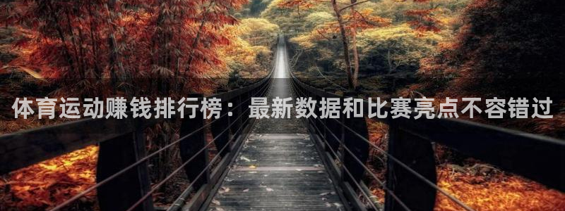 米兰体育官方正版app娱乐是那个系列的台子：体育运动赚钱排行