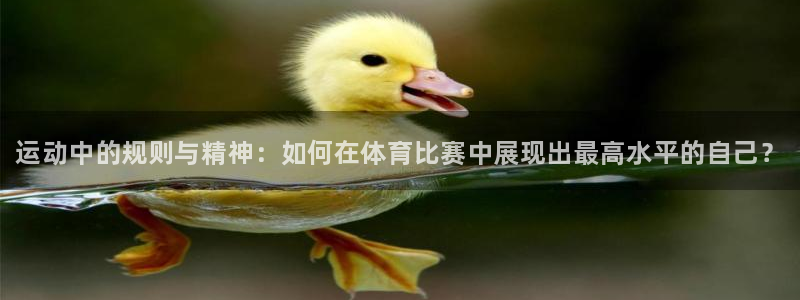 米兰体育官方正版app集团官网网址：运动中的规则与精神：如何