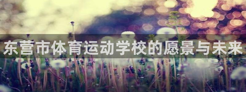 米兰体育官方平台体育：东营市体育运动学校的愿景与未来