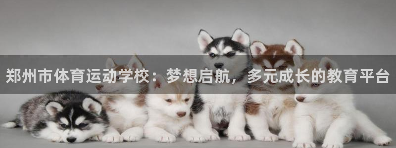 米兰体育官方正版app集团logo：郑州市体育运动学校：梦想