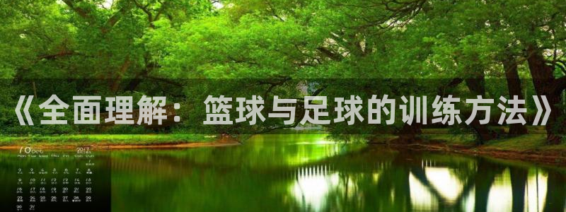 米兰体育官方正版app娱乐首页网站大全：《全面理解：篮球与足