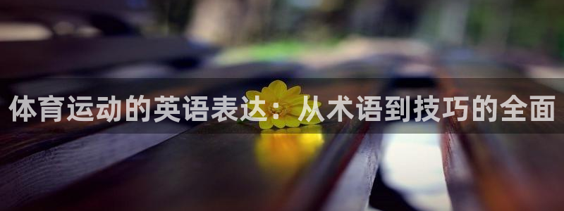 米兰体育官网下载招商电话是多少啊：体育运动的英语表达：从术语