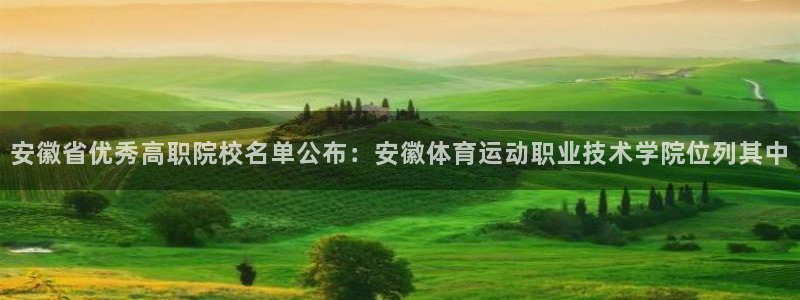 米兰体育官方正版app集团官网网址：安徽省优秀高职院校名单公