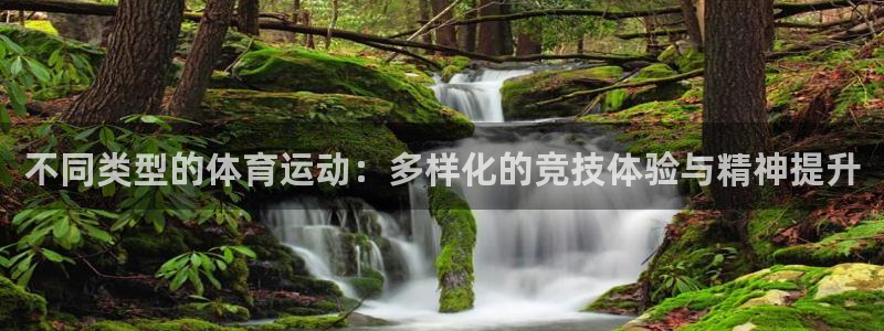 米兰体育官网下载平台是正规平台吗安全吗：不同类型的体育运动：