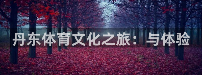米兰体育官方正版app娱乐平台