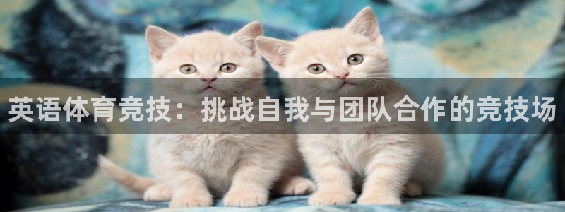 米兰体育官方正版app集团官网首页：英语体育竞技：挑