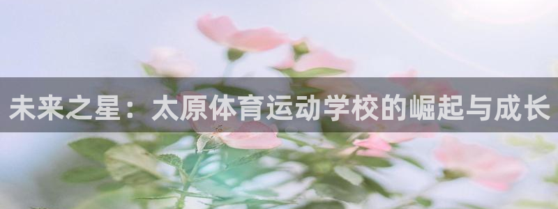 海南米兰体育官网下载：未来之星：太原体育运动学校的崛起与成长