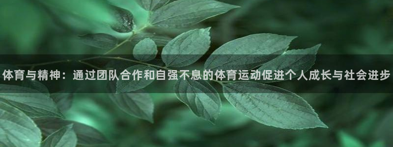 米兰体育官网下载平台注册要钱吗安全吗：体育与精神：通过团队合