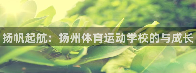 米兰体育官网下载招商电话是多少号码：扬帆起航：扬州体育运动学