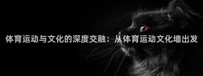 米兰体育官网下载招商电话号码是多少啊：体育运动与文化的深度交