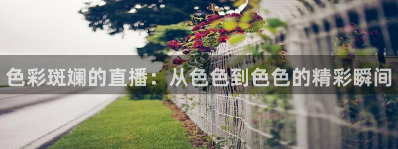 qy球友会体育官网：色彩斑斓的直播：从色色到色色的精彩瞬间