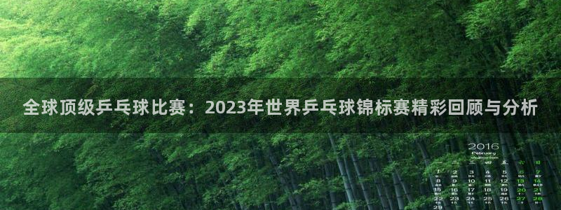 球友会体育：全球顶级乒乓球比赛：2023年世界乒乓球锦标赛精彩回顾与分析