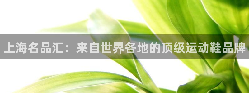  米兰体育报国米：上海名品汇：来自世界各地的顶级运动鞋品牌