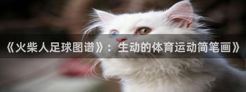  米兰体育报纸：《火柴人足球图谱》：生动的体育运动简笔画》