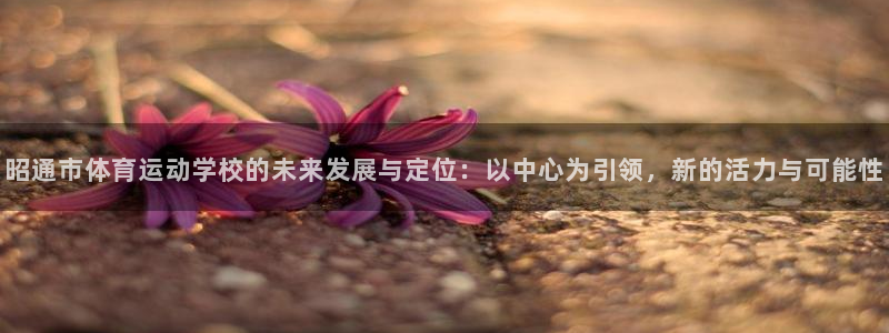 米兰体育网页版入口最新版本更新内容：昭通市体育运动学校的未来