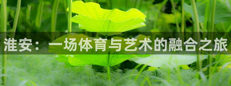 米兰体育能赚钱吗是真的吗：淮安：一场体育与艺术的融合之旅