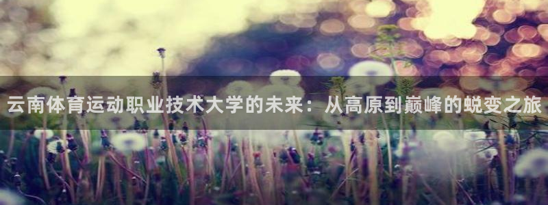 米兰体育如何下载：云南体育运动职业技术大学的未来：从高原到巅
