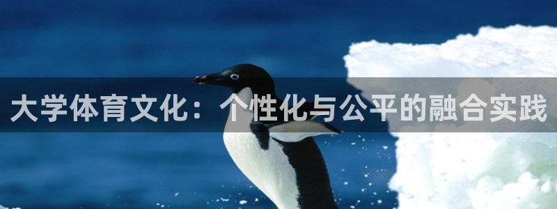 米兰体育报：大学体育文化：个性化与公平的融合实践