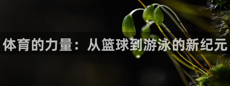 米兰体育官网拉斯帕尔马斯战略伙伴W