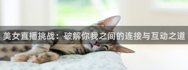 球友直播平台