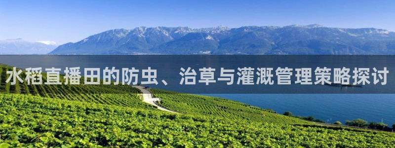 球友直播在线直播