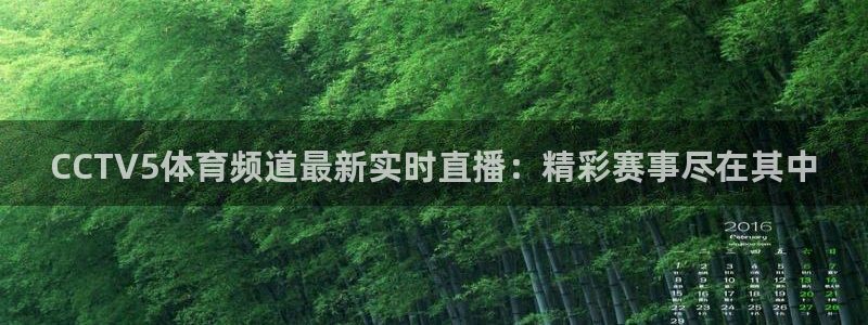 球友体育在线直播