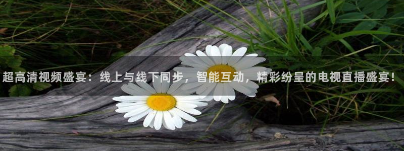 球友体育官网：超高清视频盛宴：线上与线下同步，智能互动，精彩纷呈的电视直播盛宴！