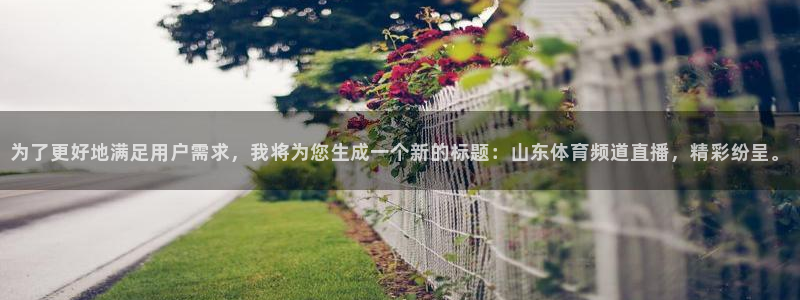 球友体育直播在线观看：为了更好地满足用户需求，我将为您生成一个新的标题：山东体育频道直播，精彩纷呈。
