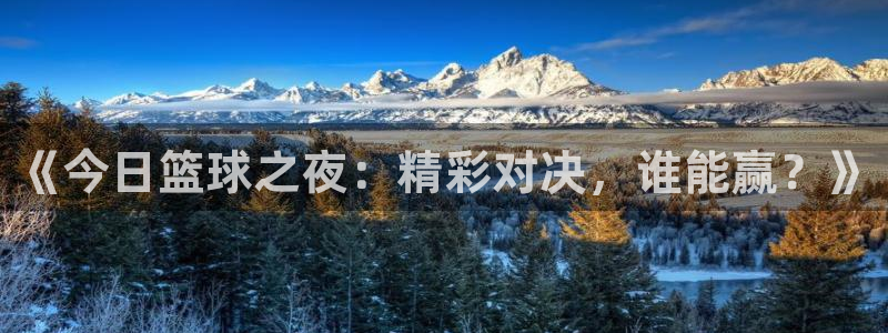 球友直播nba在线直播：《今日篮球之夜：精彩对决，谁能赢？》