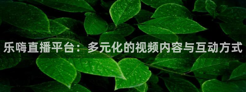 球友会直播：乐嗨直播平台：多元化的视频内容与互动方式